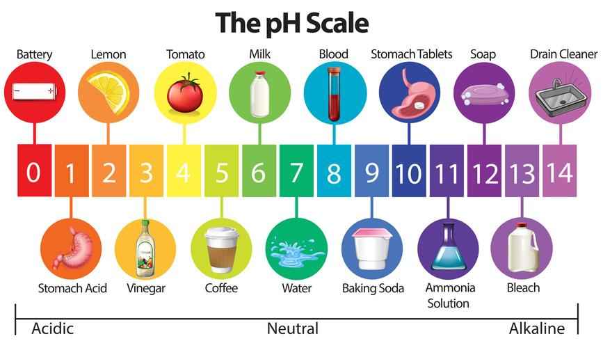 What Is The PH Of A Drain Cleaner