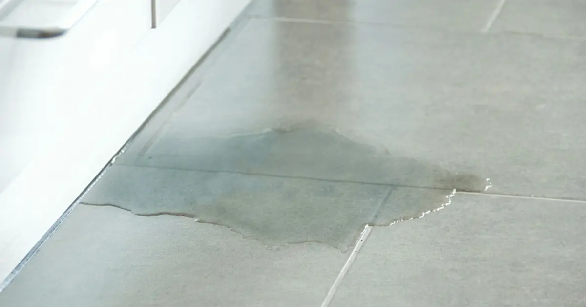 What Is the Cost of Slab Leak Repair?