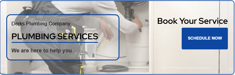 Professional Plumbing Services in Eagle Rock