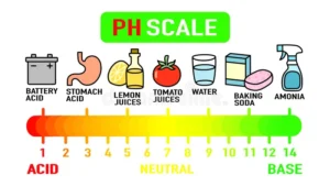 Is Drain Cleaner Acidic or Basic