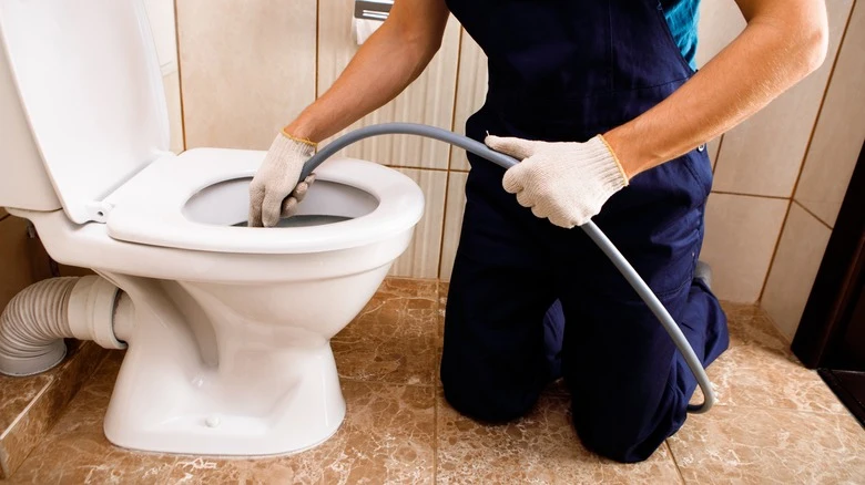 can you put drain cleaner in a toilet​
