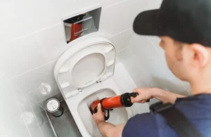Can You Put Drain Cleaner in a Toilet