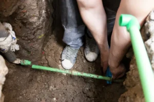 what is belly in sewer line