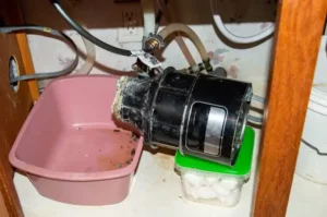 how to clean a garbage disposal