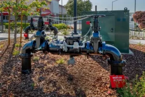 What Is Backflow Testing