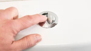 What Is a Dual Flush Toilet