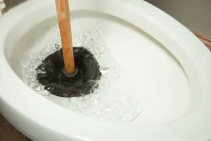 how to plunge toilet