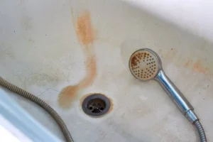 what does mold in shower look like