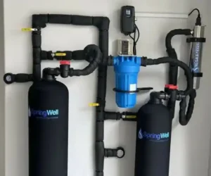 Whole-House Water Filtration System Cost?