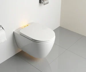 Can You Flush the Toilet When the Power Is Out?