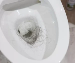 Is It Bad to Flush Hair Down The Toilet? The Alarming Truth