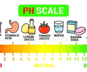 Is Drain Cleaner Acidic or Basic