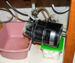 how to clean a garbage disposal