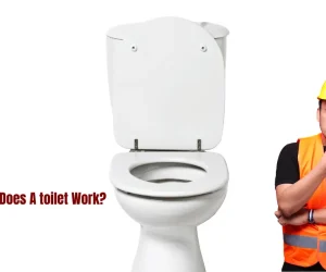 How Does a Toilet Work? A Best Guide For Everyone
