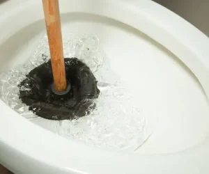 how to plunge toilet