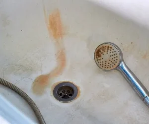 what does mold in shower look like