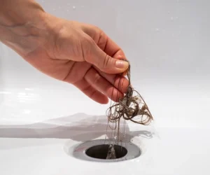 will drain cleaner dissolve hair