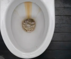 Why Is My Toilet Water Yellow?